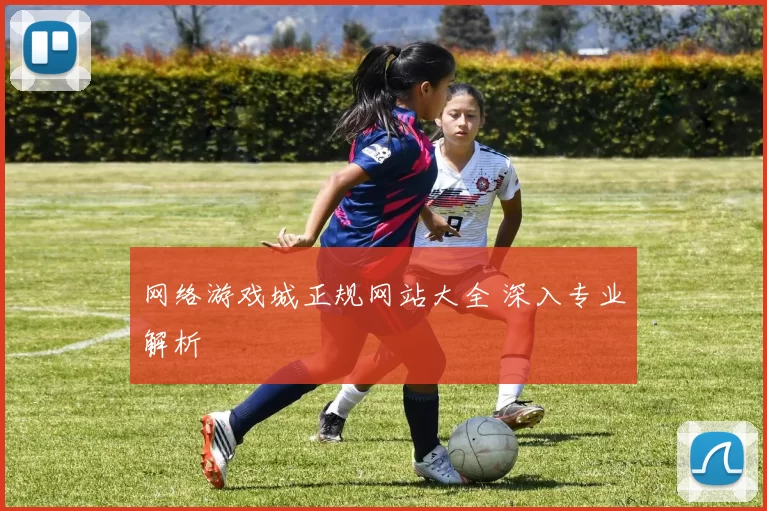 网络游戏城正规网站大全 深入专业解析