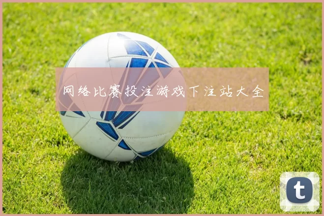 网络比赛投注游戏下注站大全