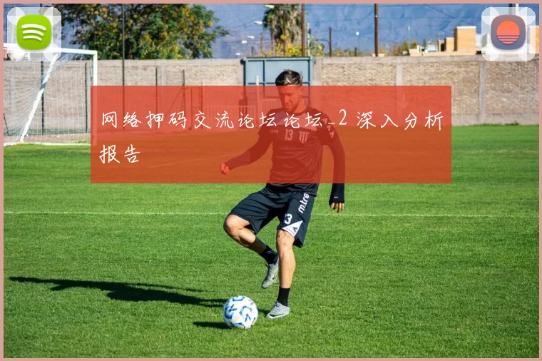 网络押码交流论坛论坛_2 深入分析报告