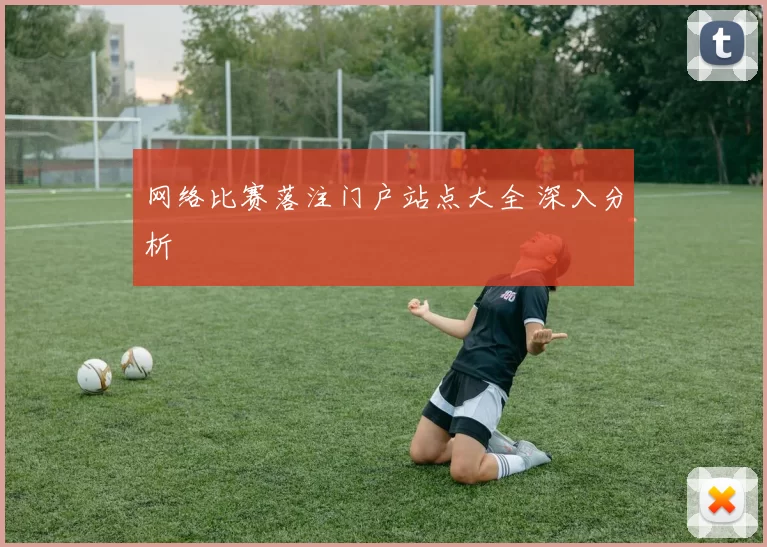 网络比赛落注门户站点大全 深入分析