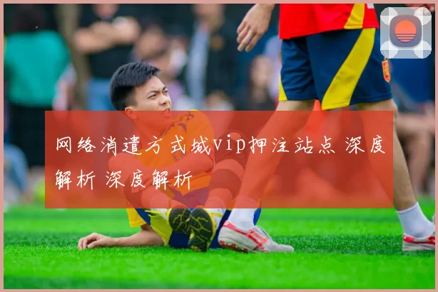 网络消遣方式城vip押注站点 深度解析 深度解析
