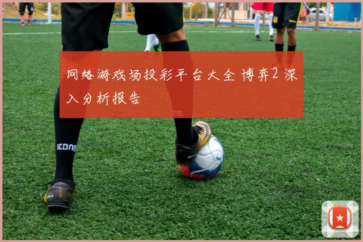 网络游戏场投彩平台大全 博弈2 深入分析报告