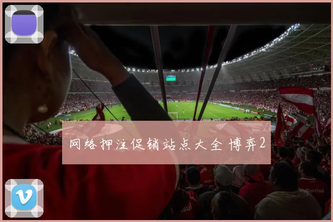 网络押注促销站点大全 博弈2