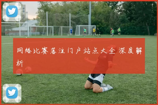 网络比赛落注门户站点大全 深度解析