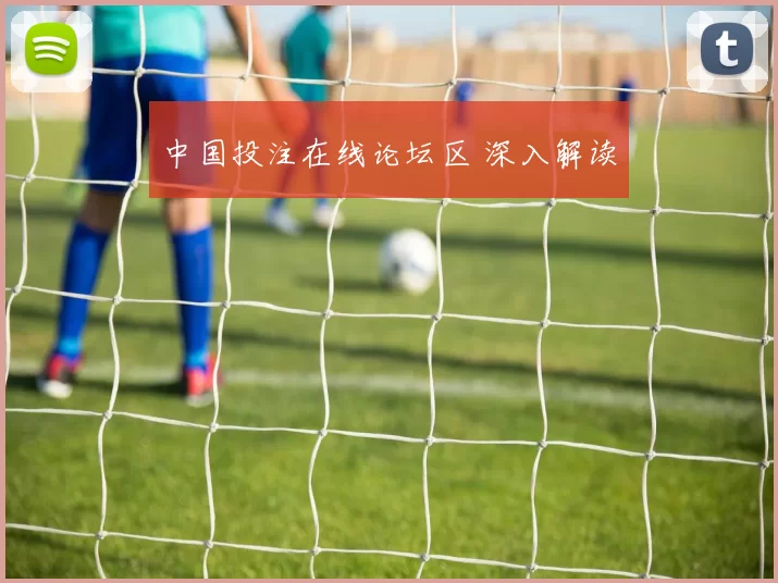 中国投注在线论坛区 深入解读