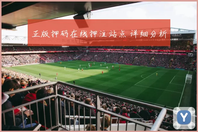 正版押码在线押注站点 详细分析