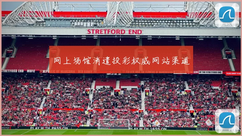 网上场馆消遣投彩权威网站渠道