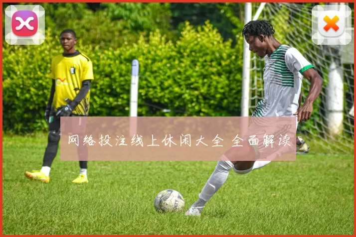 网络投注线上休闲大全 全面解读