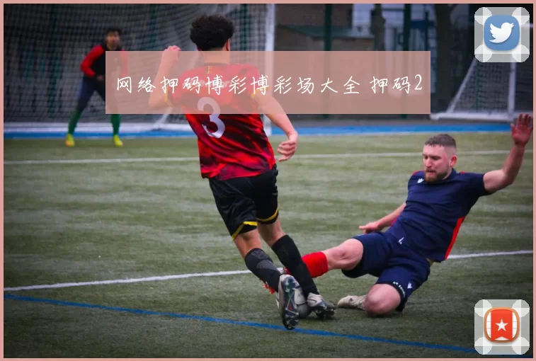 网络押码博彩博彩场大全 押码2