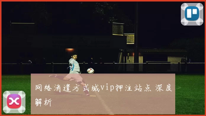 网络消遣方式城vip押注站点 深度解析