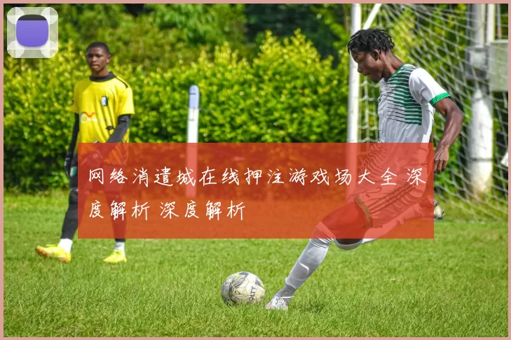 网络消遣城在线押注游戏场大全 深度解析 深度解析