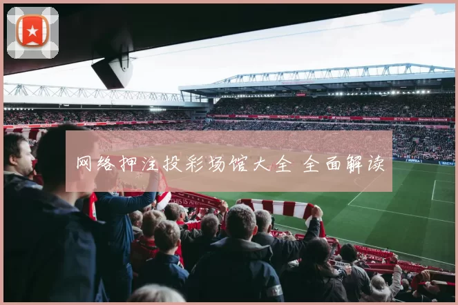 网络押注投彩场馆大全 全面解读