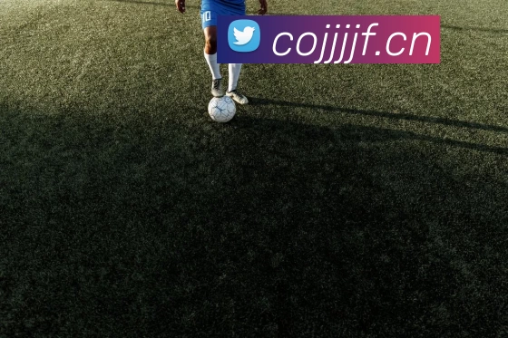 bb体育APP 高清赛事图